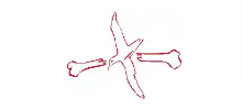 Albatross Designs